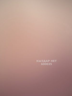 Проститутка Шымкента Анкета №600035 Фотография №1